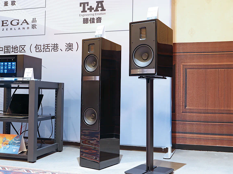 展現令人驚嘆的性能 MartinLogan Motion 20i座地式音箱